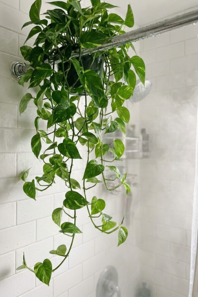 Article Image 2026 01 20T135112.331