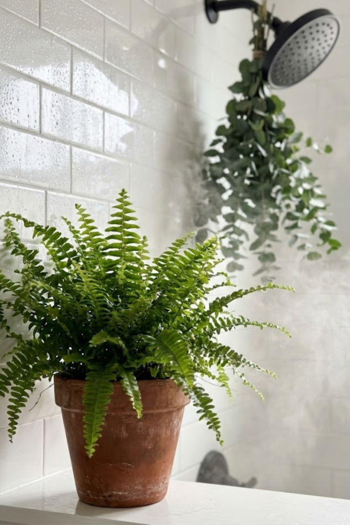 Article Image Size 2026 01 10T111036.739