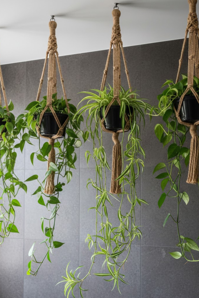 Article Image Size 2026 01 17T101717.337