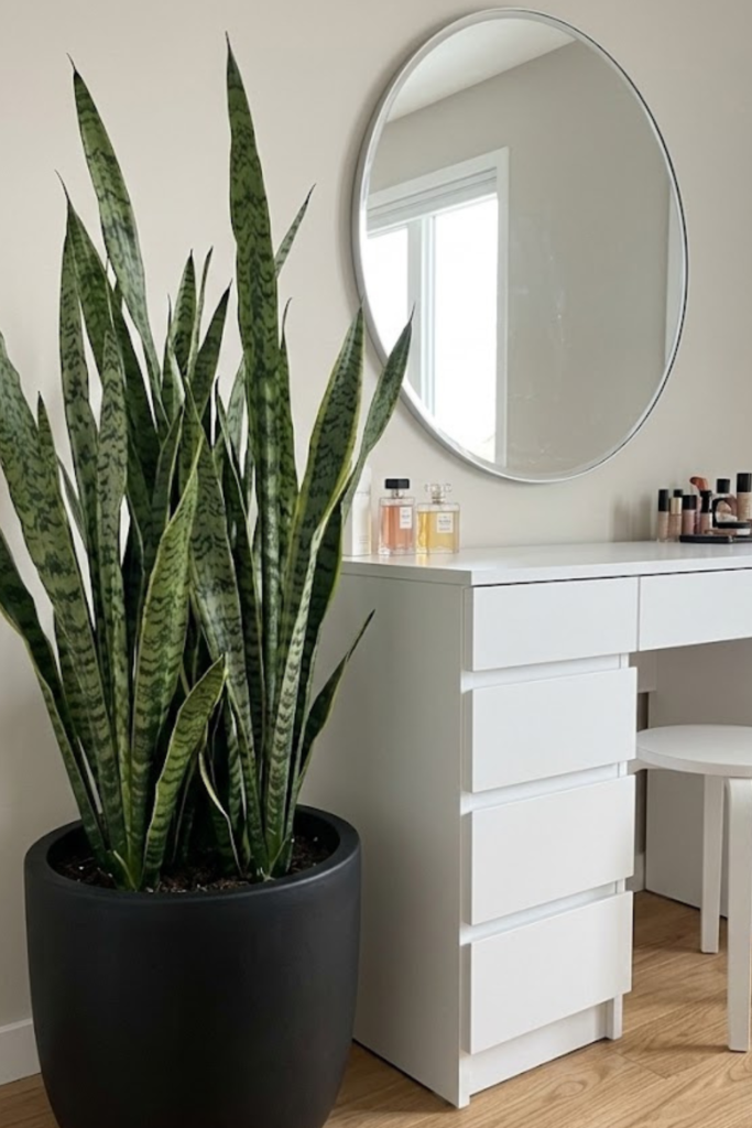 Untitled design 2026 03 05T153903.296