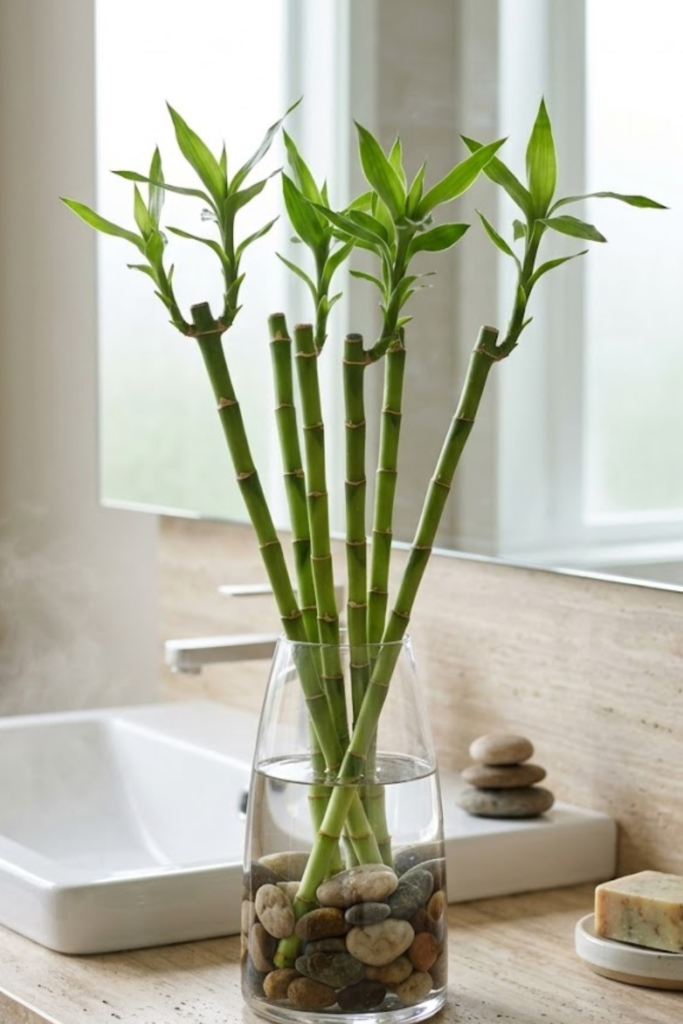 Untitled design 2026 03 05T154310.363