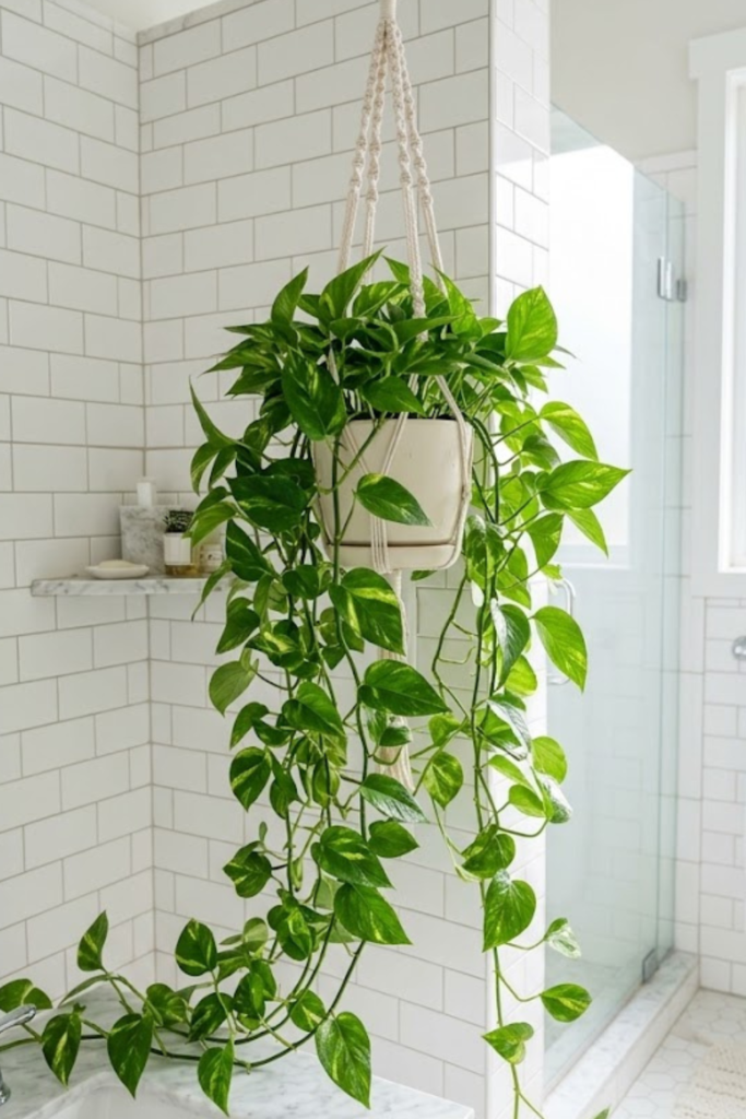 Untitled design 2026 03 14T191200.449