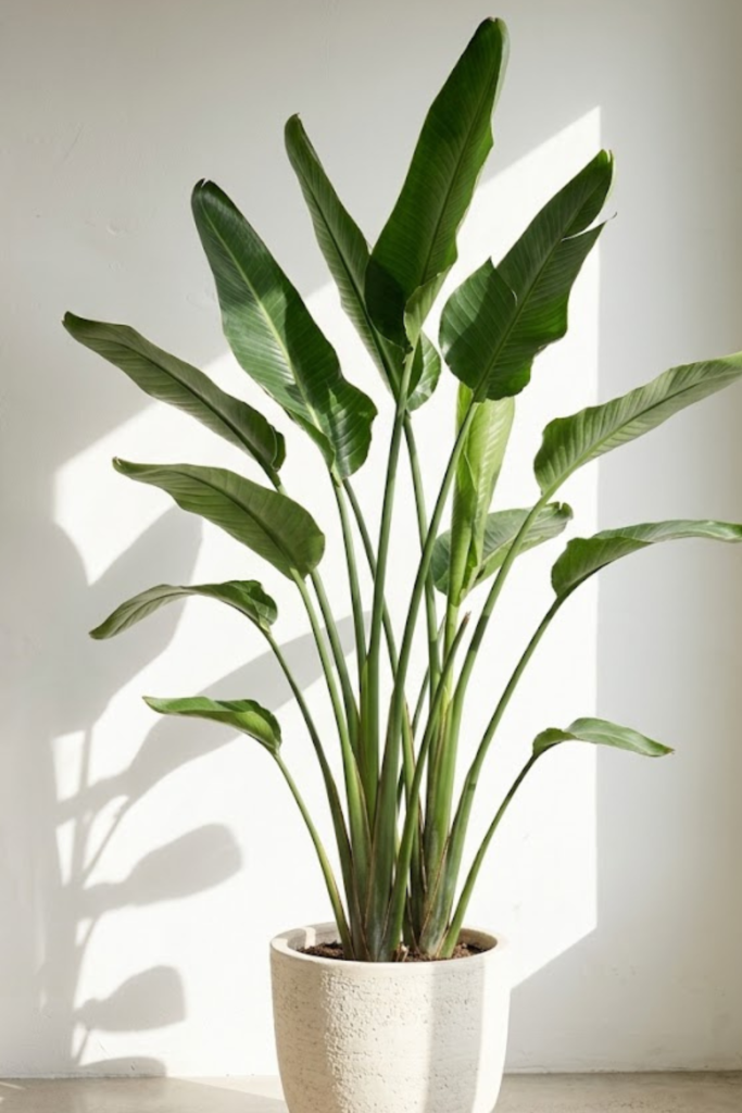 Untitled design 2026 03 26T103759.784