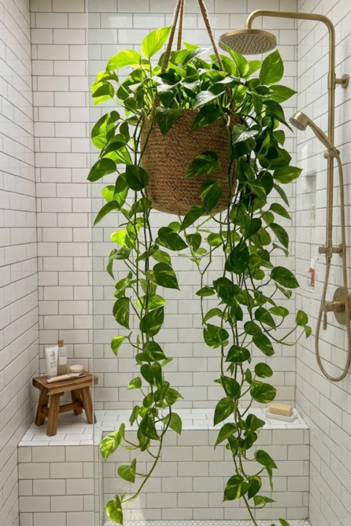 Untitled design 2026 03 27T121414.670